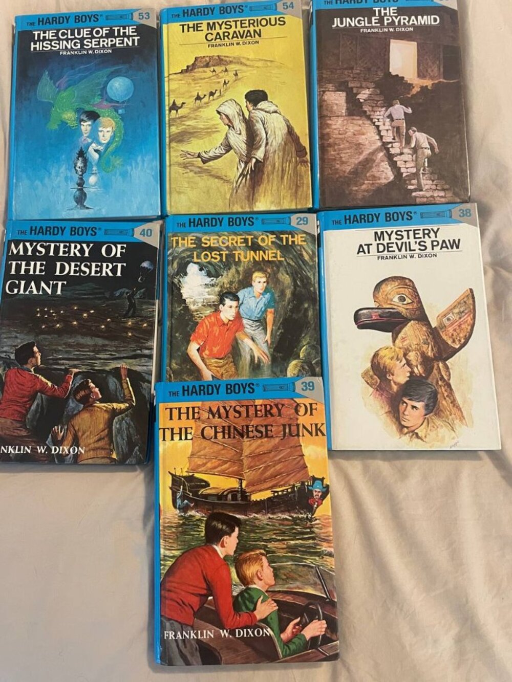 Dive into Adventure: Vintage Hardy Boys Mystery Novel Set - Classic Academia Col